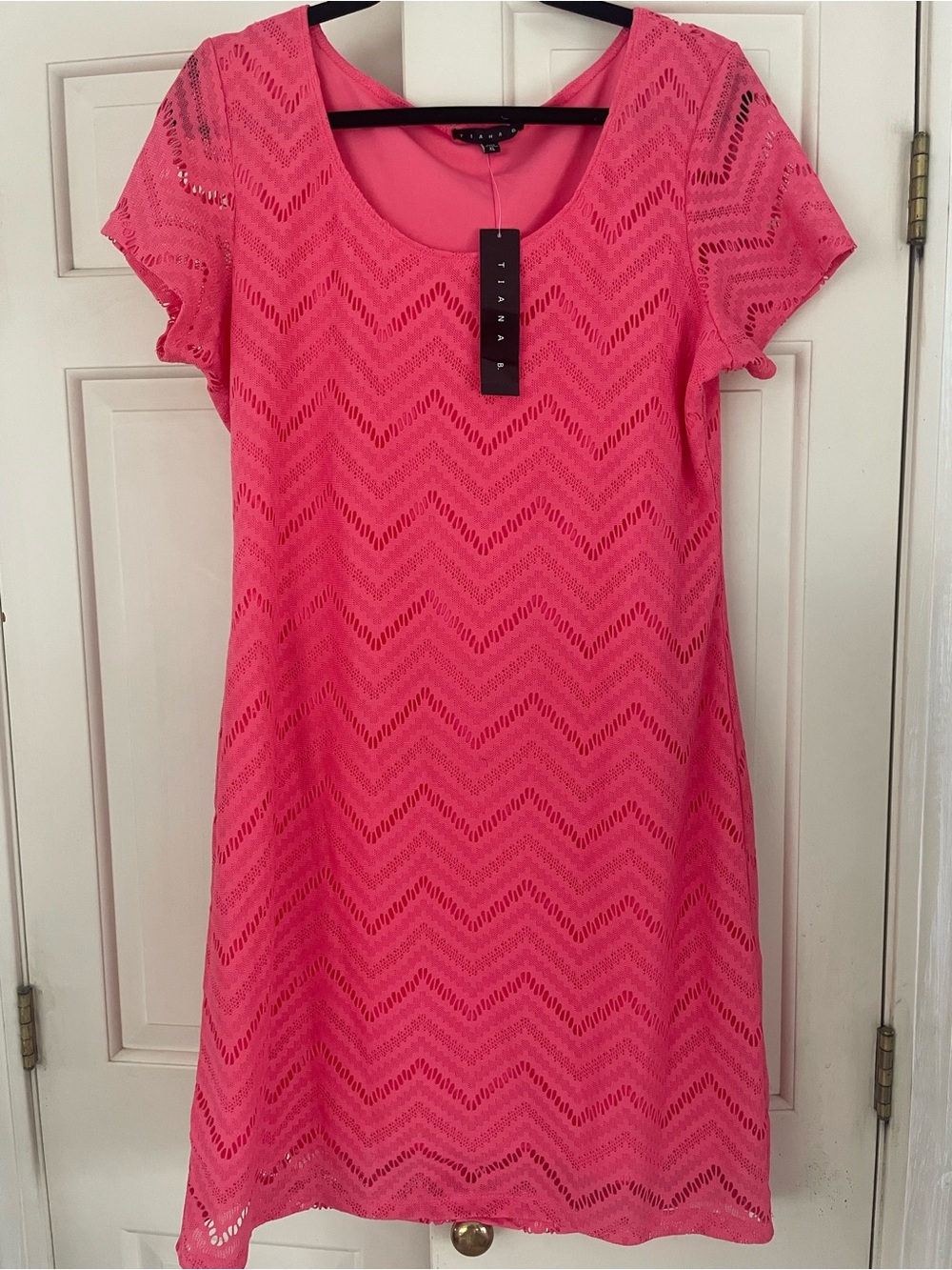 Tiana B. Bright Pink Chevron Eyelet A-Line Dress